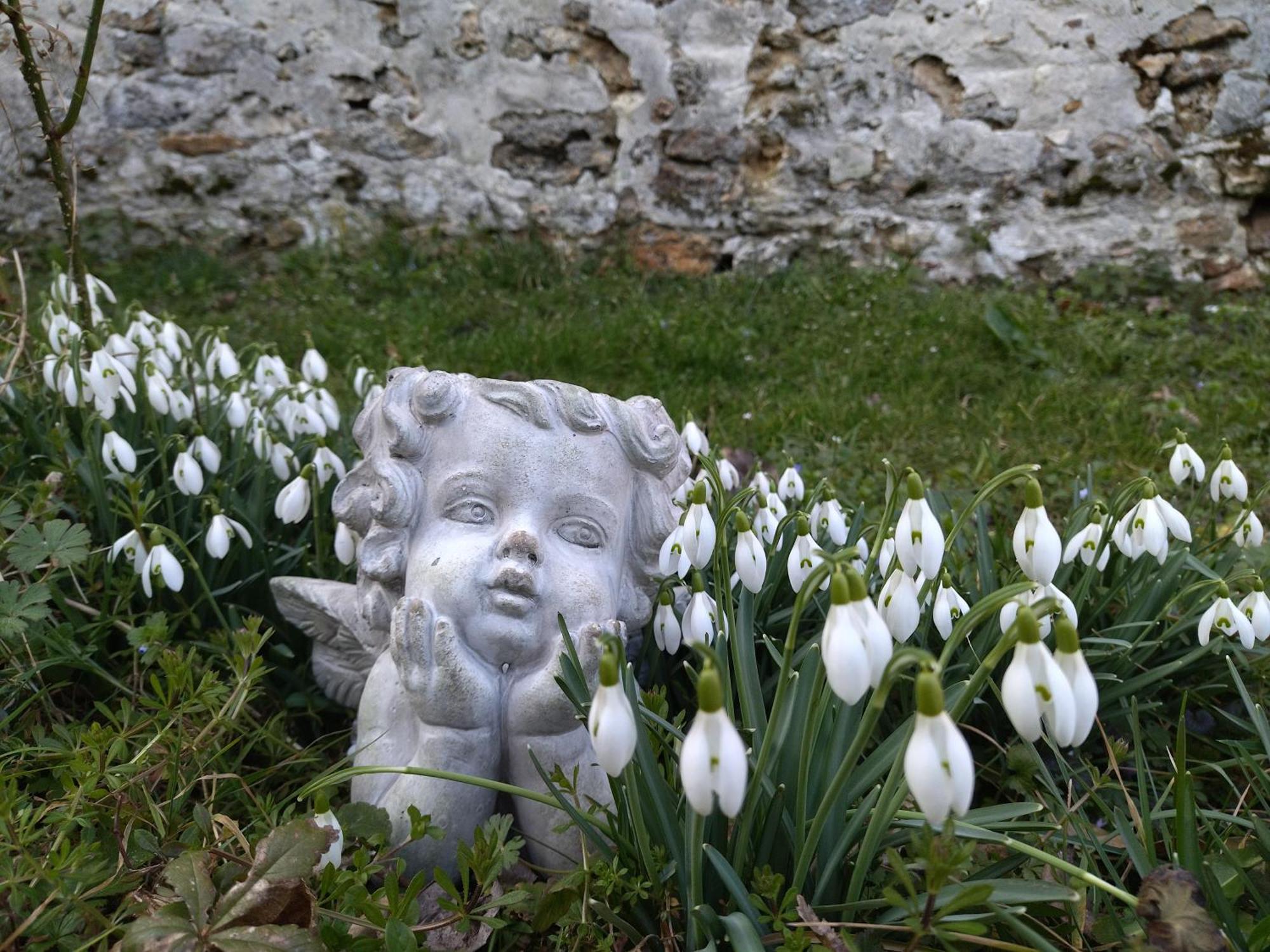 Gite De La Pierre Bleue, Maison A La Campagne Verdon  Dış mekan fotoğraf